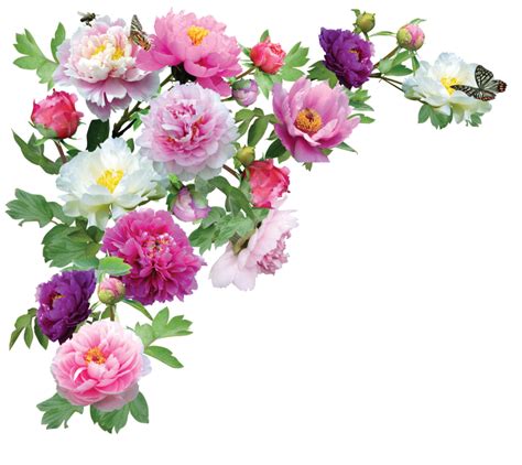 Flower Png Images .
